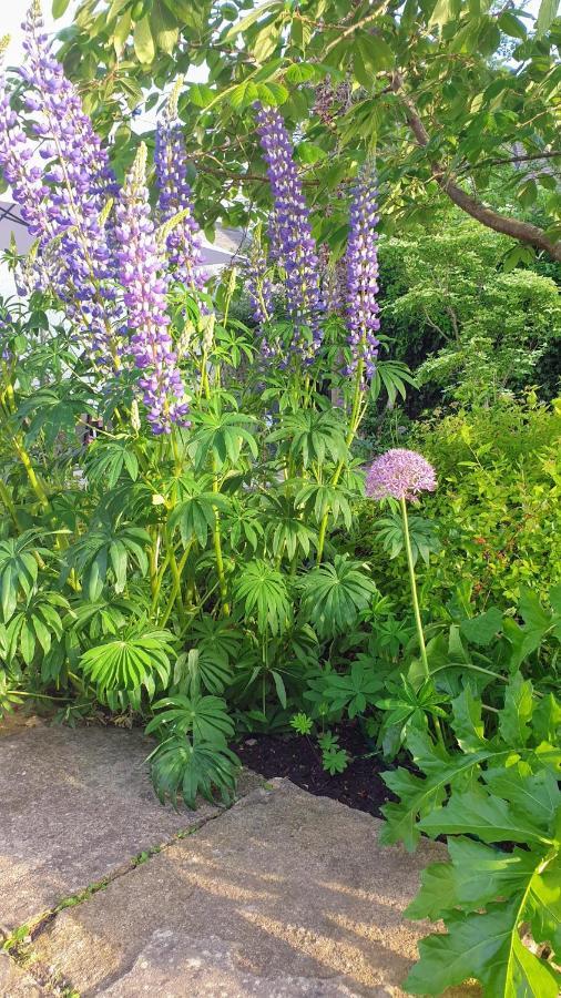 The Old Bank Beautiful Cotswold House With Huge Garden Villa Mickleton  Eksteriør bilde